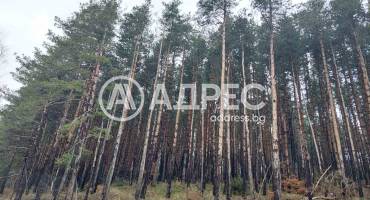 Къща/Вила, Бистрица, 640647, Снимка 3