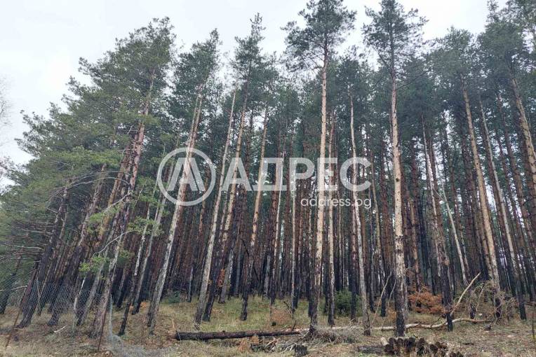 Къща/Вила, Бистрица, 640647, Снимка 3