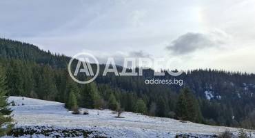 Парцел/Терен, Стойките, 677650, Снимка 1
