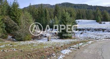 Парцел/Терен, Стойките, 677650, Снимка 6