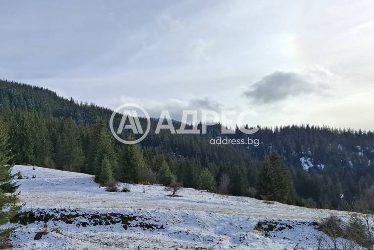 Парцел/Терен, Стойките, 677650, Снимка 1