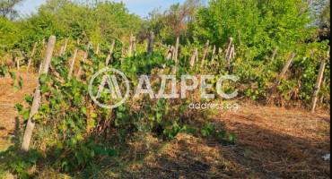 Къща/Вила, Дунавци, 665654, Снимка 12