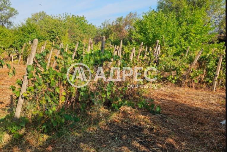 Къща/Вила, Дунавци, 665654, Снимка 12