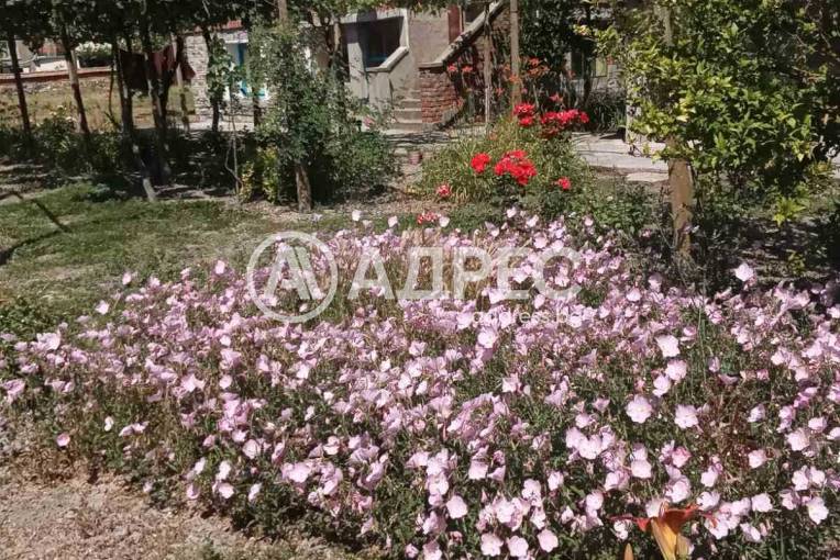 Къща/Вила, Камен, 667656, Снимка 1