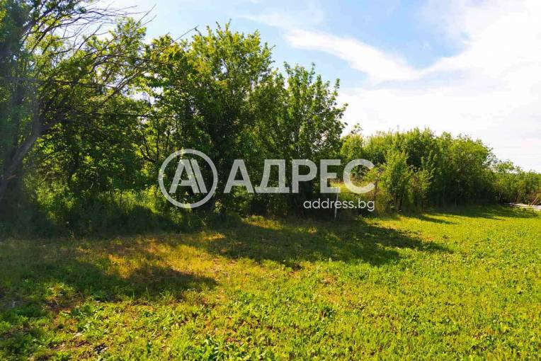 Парцел/Терен, Тръстиково, 685657, Снимка 4