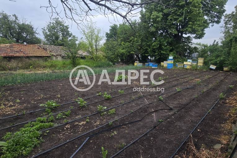 Къща/Вила, Дибич, 655659, Снимка 4