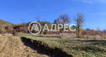 Парцел/Терен, Севлиево, Хоталич, 673661, Снимка 3