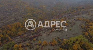 Парцел/Терен, Дивотино, 658664, Снимка 6