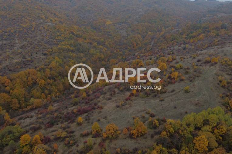 Парцел/Терен, Дивотино, 658664, Снимка 6