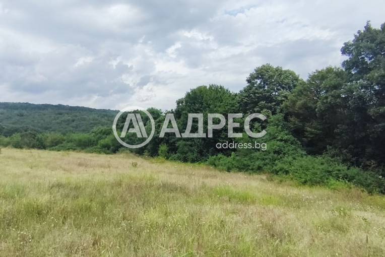 Парцел/Терен, Звездица, 702666, Снимка 3