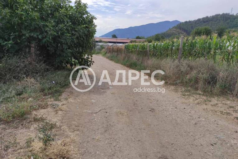 Земеделска земя, Симитли, 593669, Снимка 6