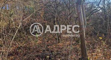 Парцел/Терен, Банкя, Иваняне, 677669, Снимка 2