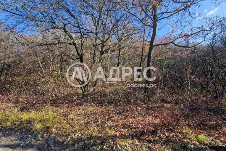 Парцел/Терен, Банкя, Иваняне, 677669, Снимка 1