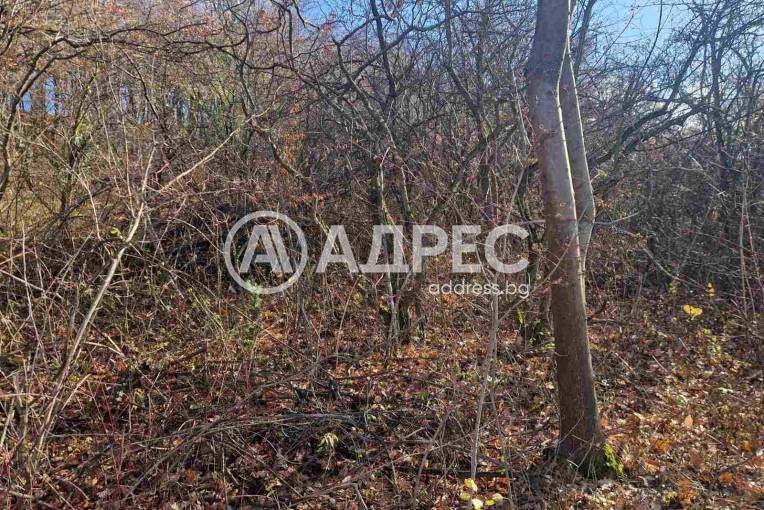 Парцел/Терен, Банкя, Иваняне, 677669, Снимка 2