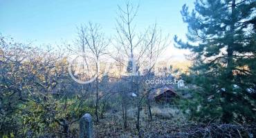 Парцел/Терен, Банкя, Градоман, 675670, Снимка 2