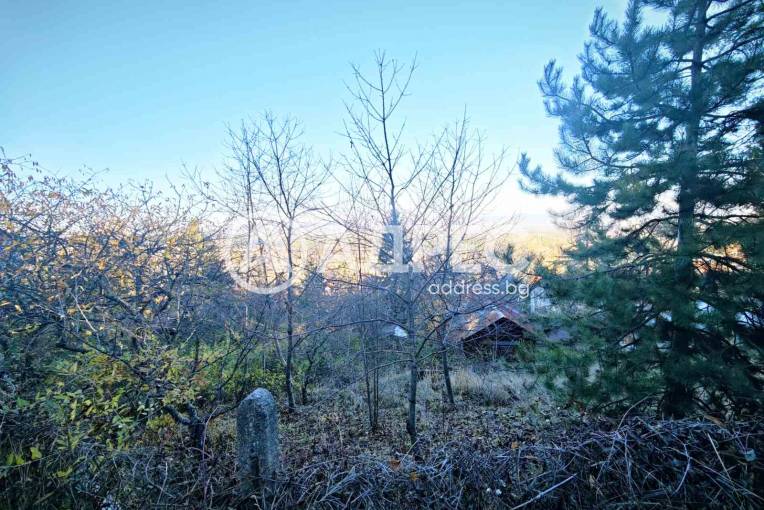 Парцел/Терен, Банкя, Градоман, 675670, Снимка 2