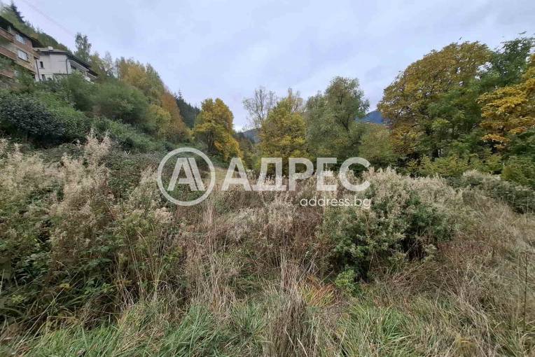 Парцел/Терен, Смолян, Смолян, 676677, Снимка 3