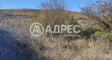 Парцел/Терен, Ново село, 673679, Снимка 2