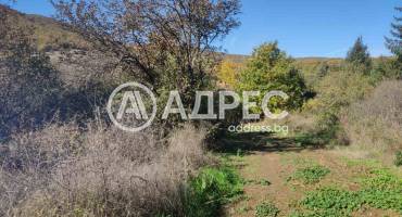Парцел/Терен, Ново село, 673679, Снимка 4