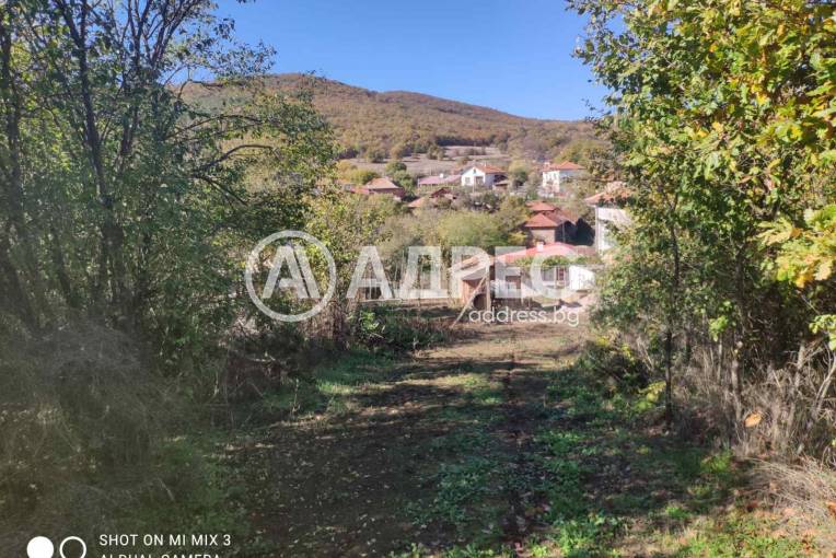 Парцел/Терен, Ново село, 673679, Снимка 1