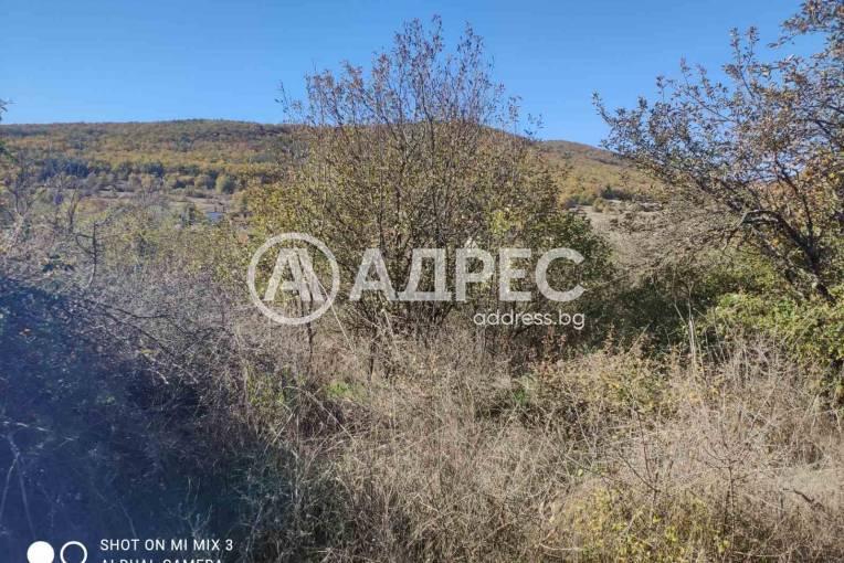 Парцел/Терен, Ново село, 673679, Снимка 2