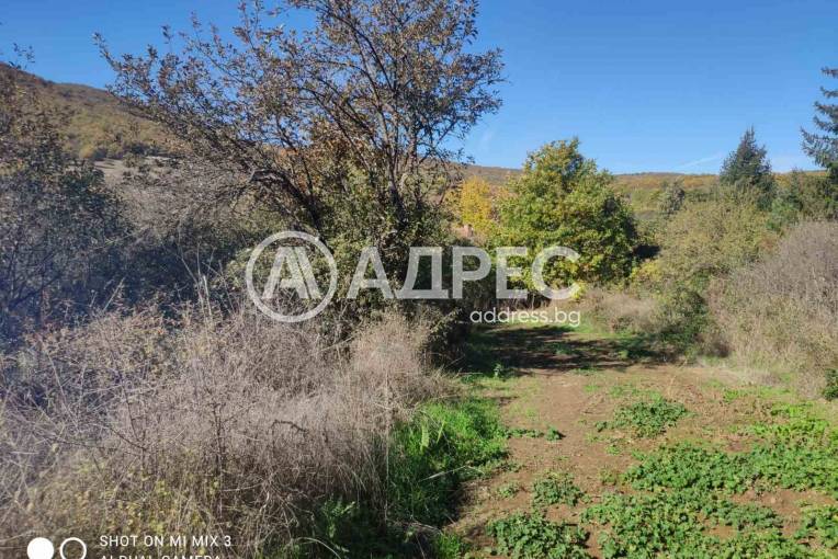 Парцел/Терен, Ново село, 673679, Снимка 4