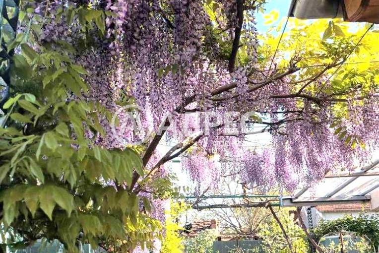 Къща/Вила, Ямбол, Промишлена зона, 670681, Снимка 10