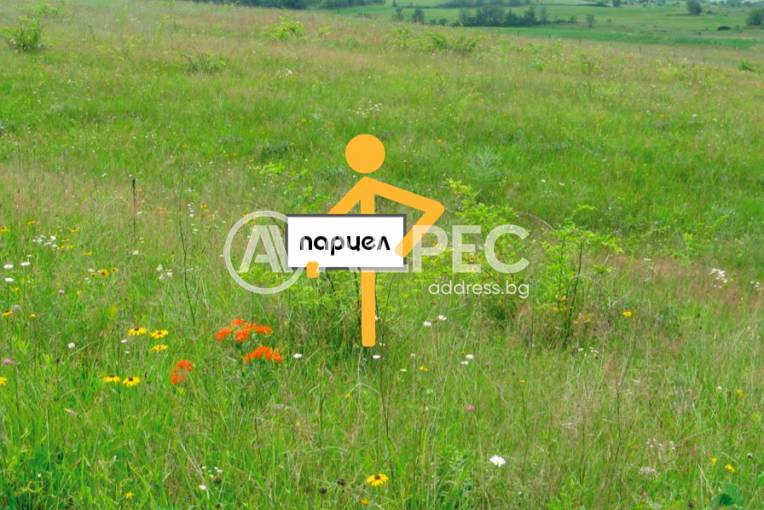 Парцел/Терен, Пловдив, Беломорски, 702690, Снимка 1