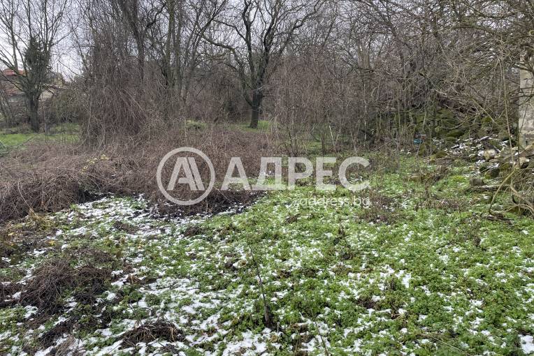 Парцел/Терен, Добрина, 684698, Снимка 2