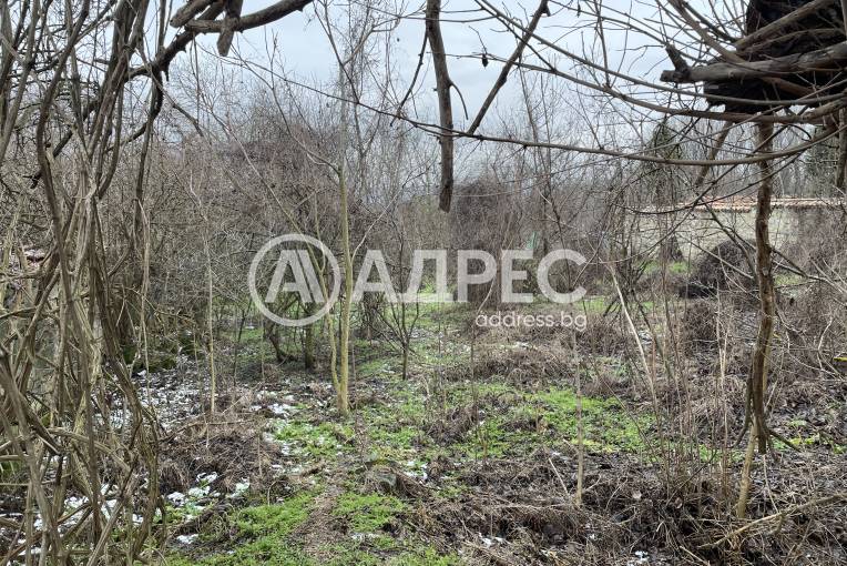 Парцел/Терен, Добрина, 684698, Снимка 3