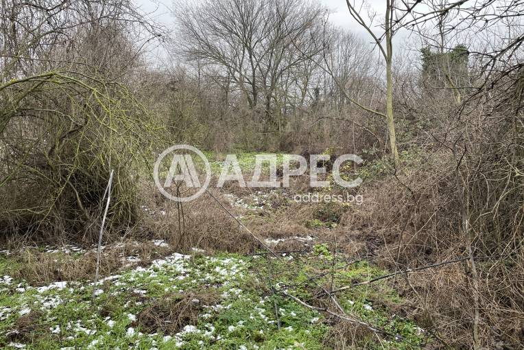 Парцел/Терен, Добрина, 684698, Снимка 5