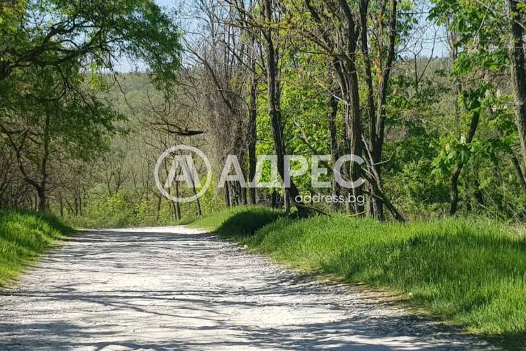 Парцел/Терен, Варна, Галата, 585700, Снимка 14