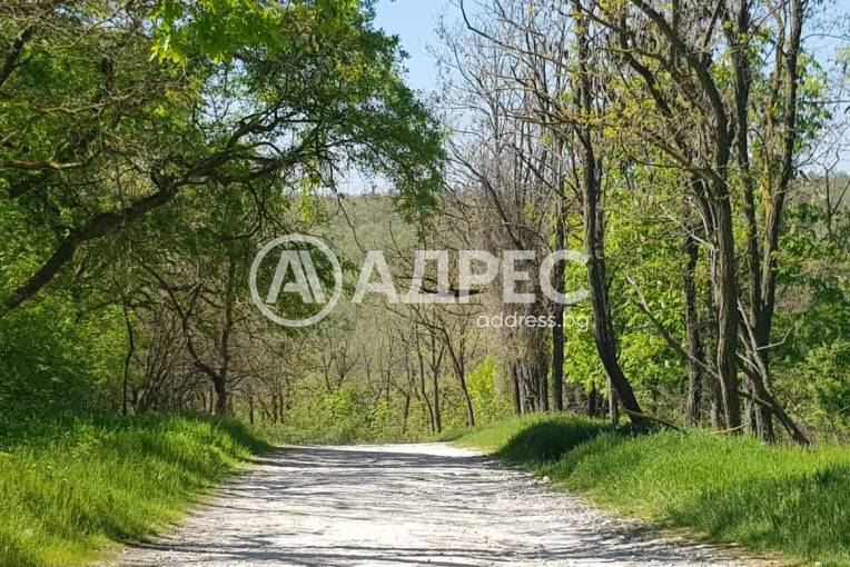 Парцел/Терен, Варна, Галата, 585700, Снимка 15