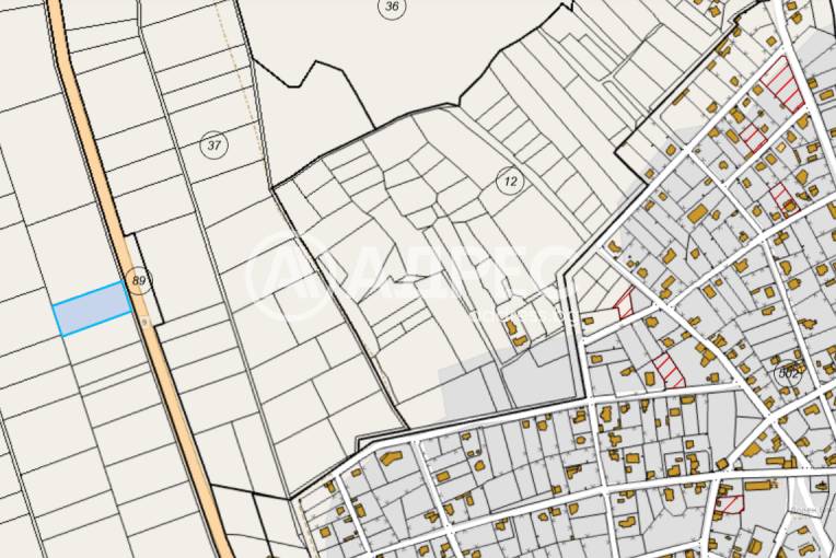 Земеделска земя, Близнаци, Белите Поляни, 676706, Снимка 1