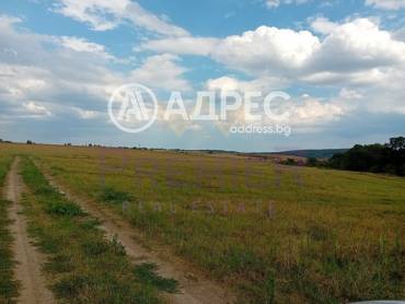 Земеделска земя, Първенец, 642709, Снимка 1