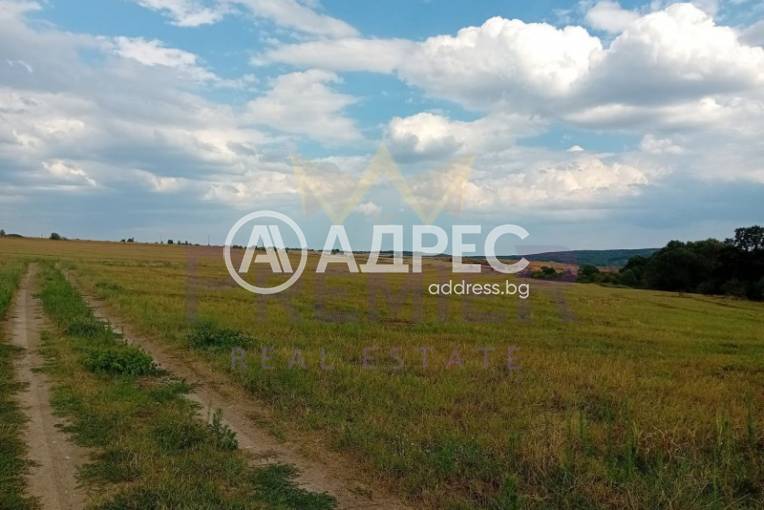 Земеделска земя, Първенец, 642709, Снимка 1