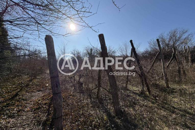 Къща/Вила, Плевен, Кайлъка, 682714, Снимка 4