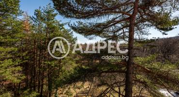 Къща/Вила, Бойково, 648717, Снимка 12