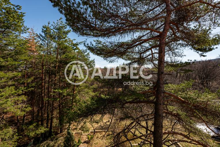 Къща/Вила, Бойково, 648717, Снимка 12