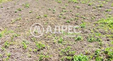 Къща/Вила, Младово, 648724, Снимка 4