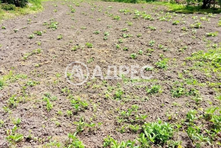 Къща/Вила, Младово, 648724, Снимка 4