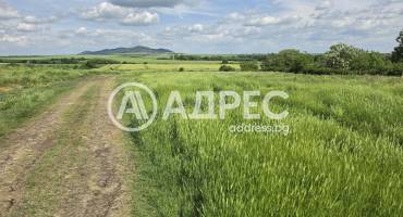 Парцел/Терен, Стара река, 695724, Снимка 3