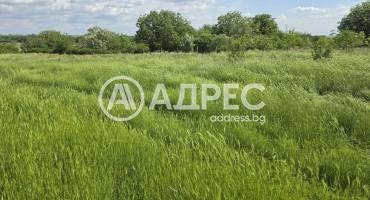 Парцел/Терен, Стара река, 695724, Снимка 6