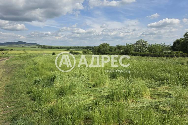 Парцел/Терен, Стара река, 695724, Снимка 1