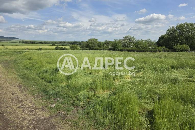 Парцел/Терен, Стара река, 695724, Снимка 7