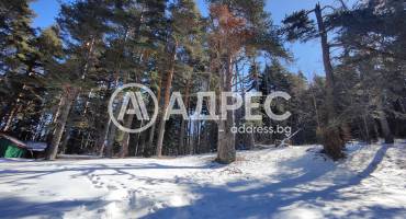 Земеделска земя, Добралък, 685730, Снимка 3