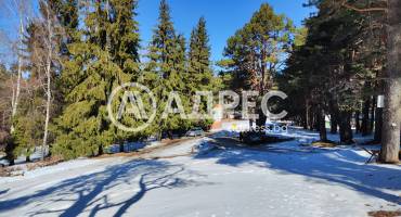 Земеделска земя, Добралък, 685730, Снимка 4