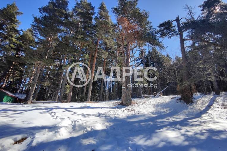 Земеделска земя, Добралък, 685730, Снимка 3