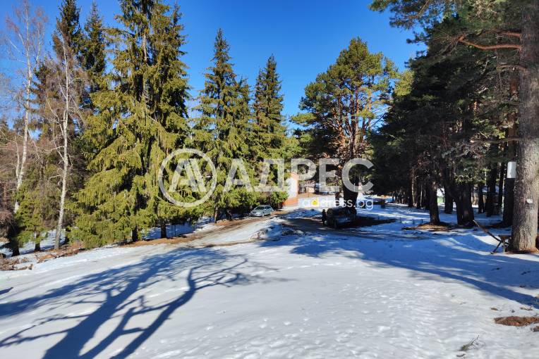 Земеделска земя, Добралък, 685730, Снимка 4