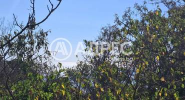 Парцел/Терен, Варна, м-ст Свети Никола, 678742, Снимка 1